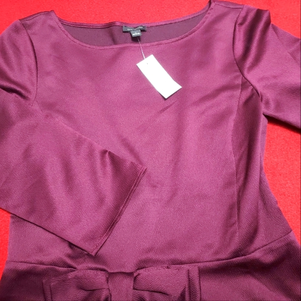 New Ann Taylor Dress shirt